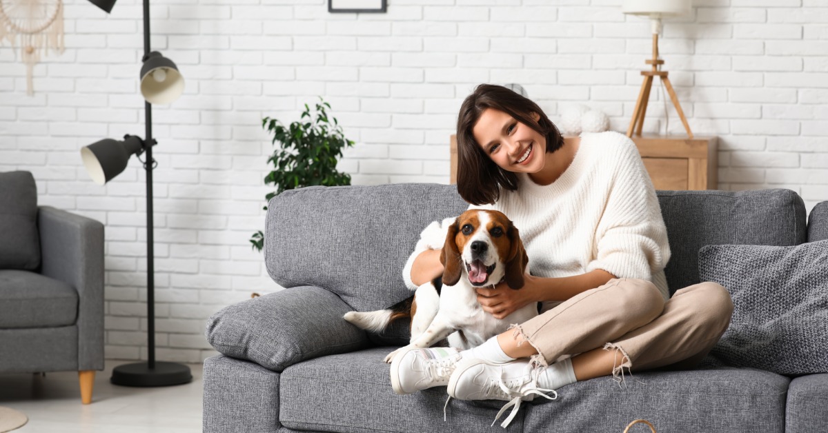 A young woman with black hair and a white sweater sitting on the couch and smiling while holding beagle dog.