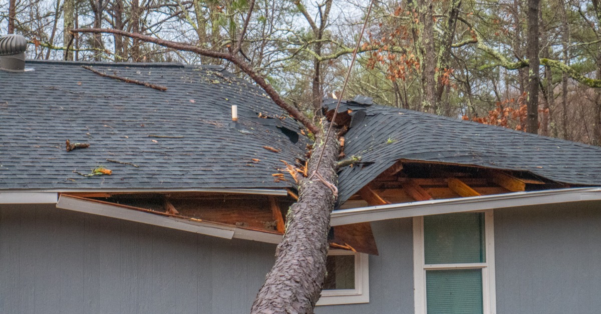 A bare, dead tree that has fallen on a grey house, severely damaging the roof. A rope is attached to the tree for removal.